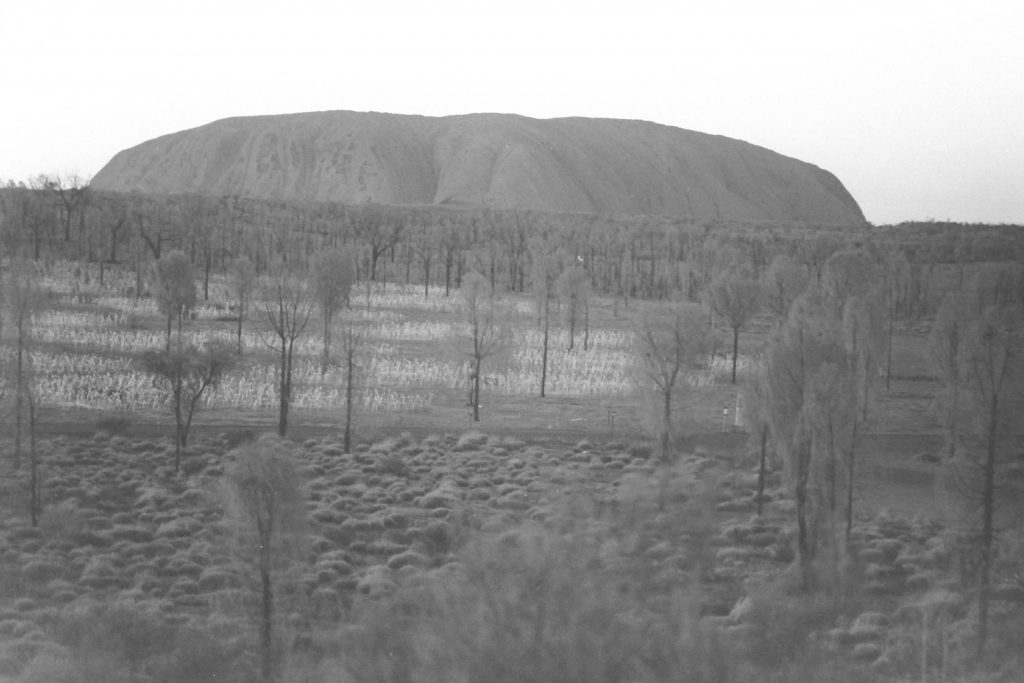 Black and white photo of Uluru at sunrise with the field of lights in the foreground