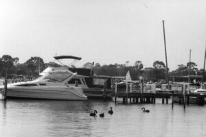 Black and white photography of a small pier with boats and four black swans on the water