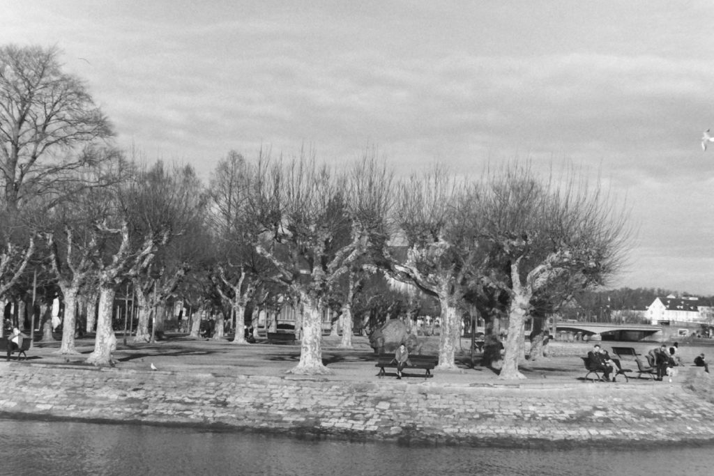 Black and white photograph of a park curved along the edge of a lake, with rows of bare trees and people sitting on park benches.