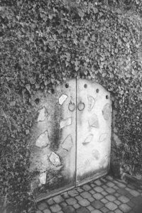 Black and white photograph of a stone gate set into a fence covered in creeper