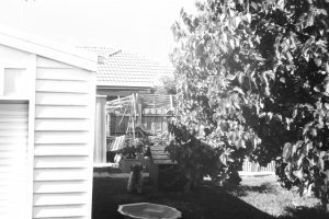 Black and white photograph of a backyard with a dog and kennel in the middle, there is a garage wall on the left hand side and a mulberry tree on the right hand side