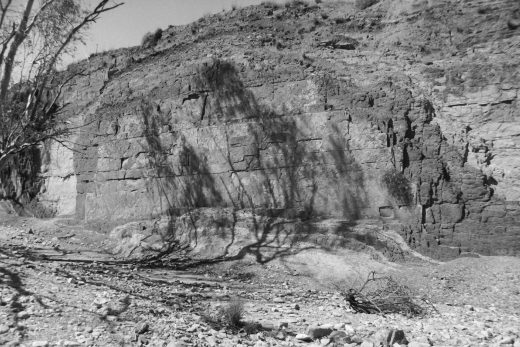 Black and white photograph of a wall of orchre in different shades, with the shadow of a tree across it