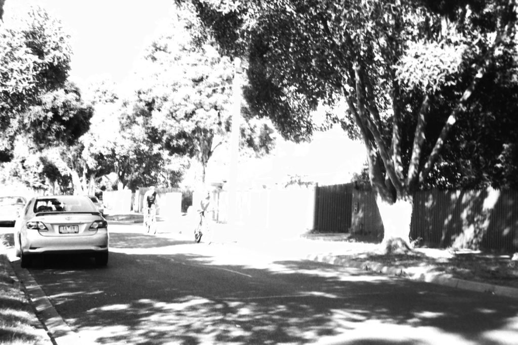 Black and white photograph of a tree lined street with two cyclists approaching