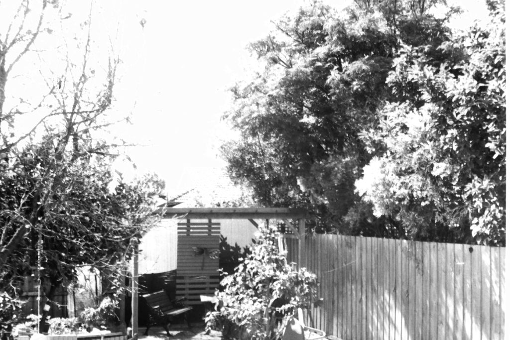 Black and white photograph of a garden with a wooden bench and table under a pergola