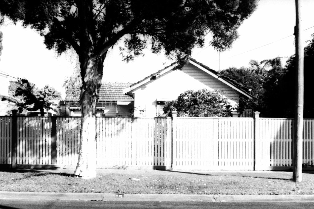 Black and white photograph of a house behind a fence with a large tree on the nature strip