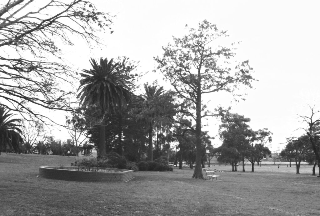 Black and photo of a park