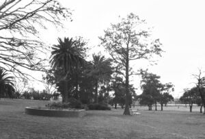 Black and photo of a park