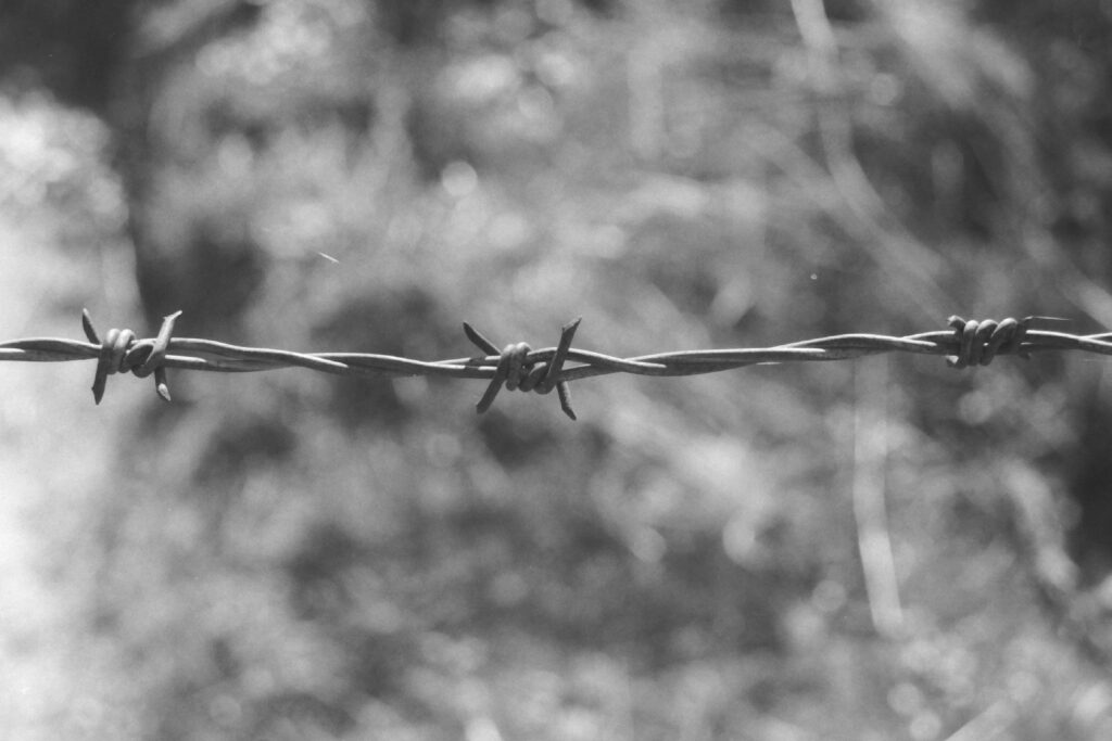 Black and white close up photograph of a string barbed wire with three barbs.