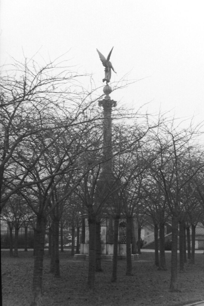 Black and white photo of a tall monument surrounded by trees, at the top, rising out of the trees is an angel.