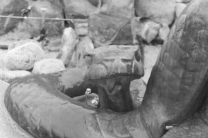 Black and white photo of a sculpture of a snake's head and coiled body set among rocks.