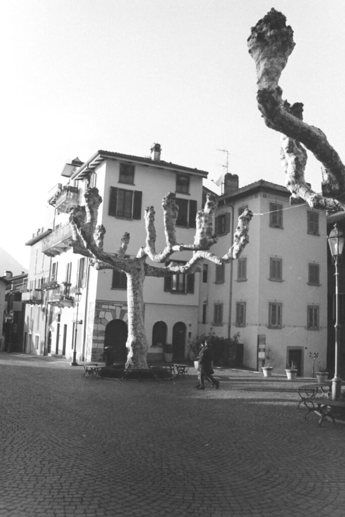 Black and white photo of a large tree with bare branches that reach upwards. The tree is in a paved town square, with buildings in the background and two people walking towards it.