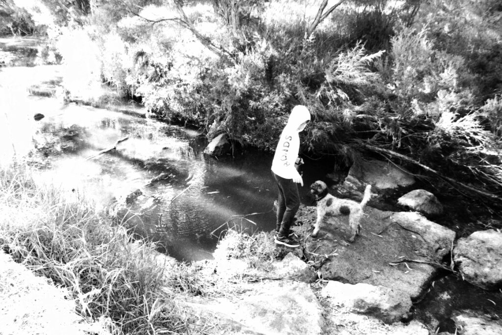 Black and white photo of a boy and a dog standing on a rock in a creek. The dog is looking expectantly at the boy.