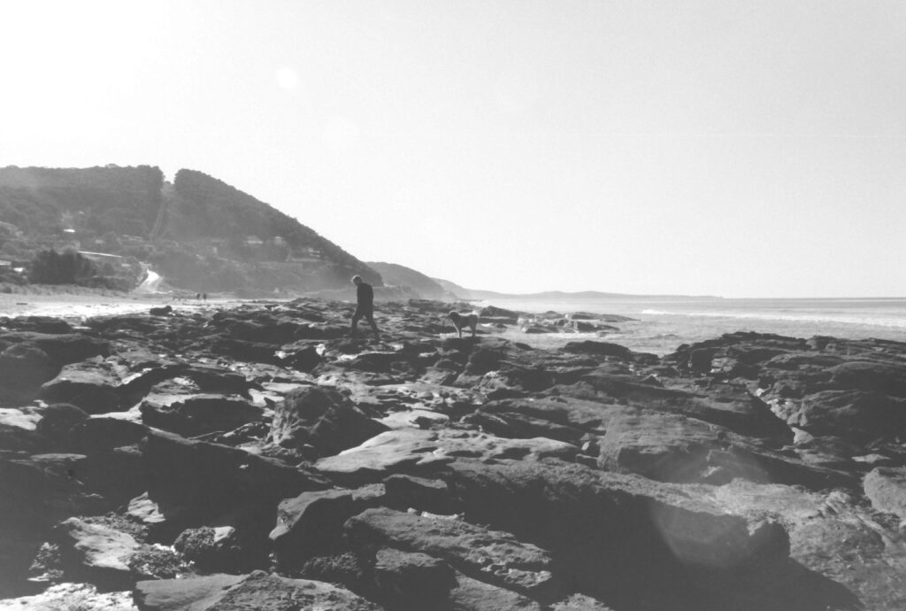 Black and white photo of a rocky beach with waves and the coastline in the background. There is a man and a dog walking across the rocks.