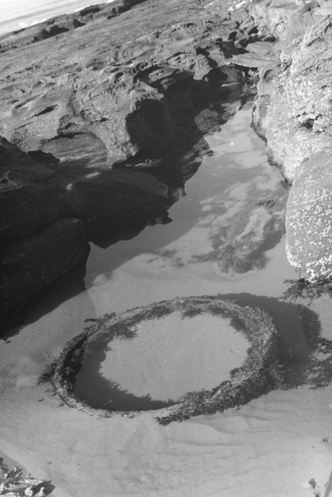 Black and white photo of a shallow channel in a rock formation. Beneath the water is sand, rocks and seaweed. There is a large circular formation embedded in the sand over which seaweed has grown and