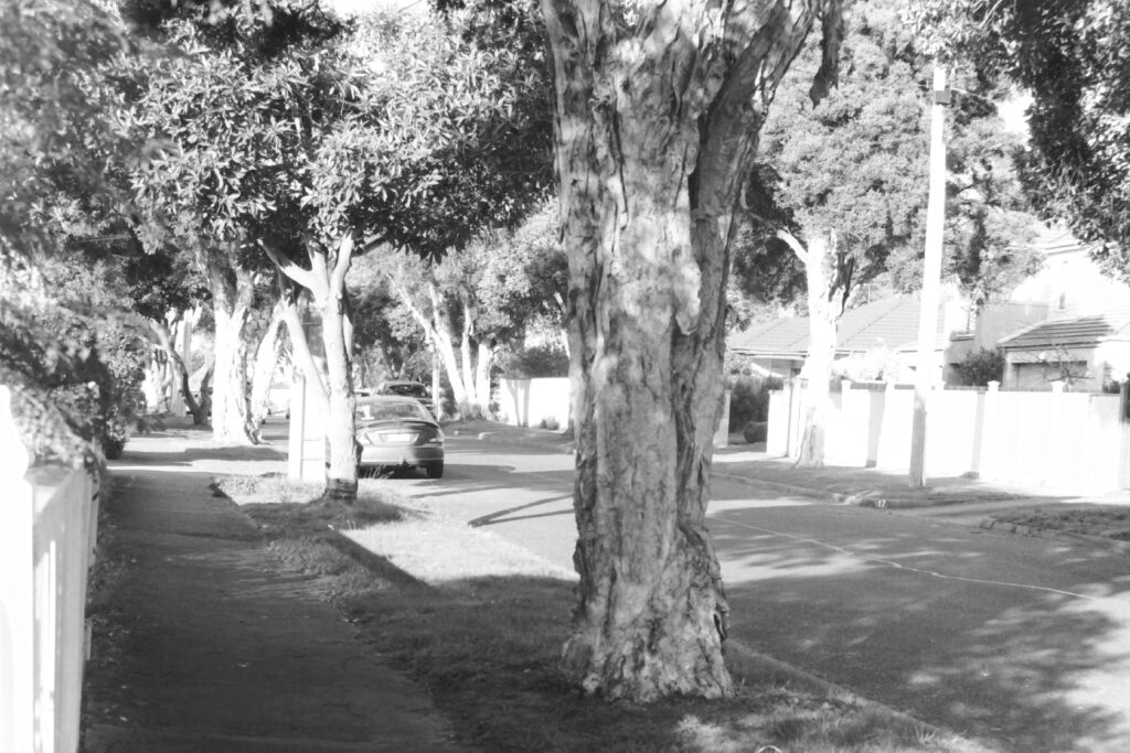 Black and white photograph taking looking down a suburban tree-lined street with cars parked on the road.