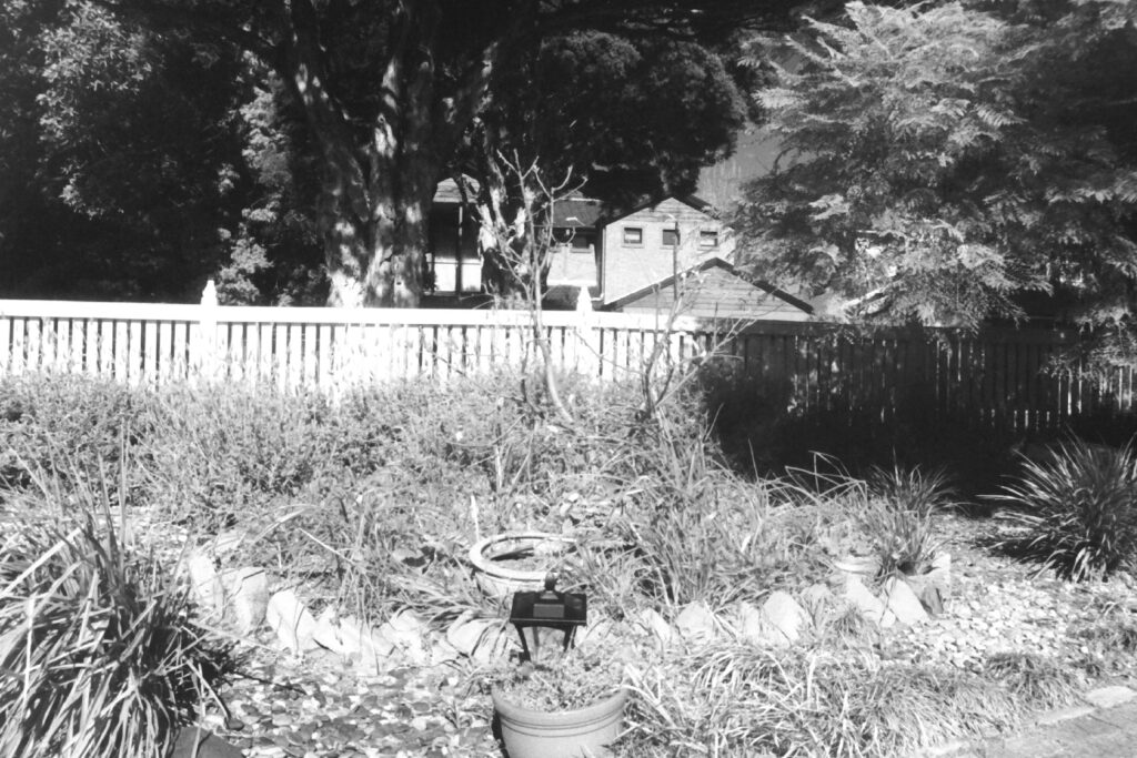 BLack and white photo of a front garden looking towards the front fence.