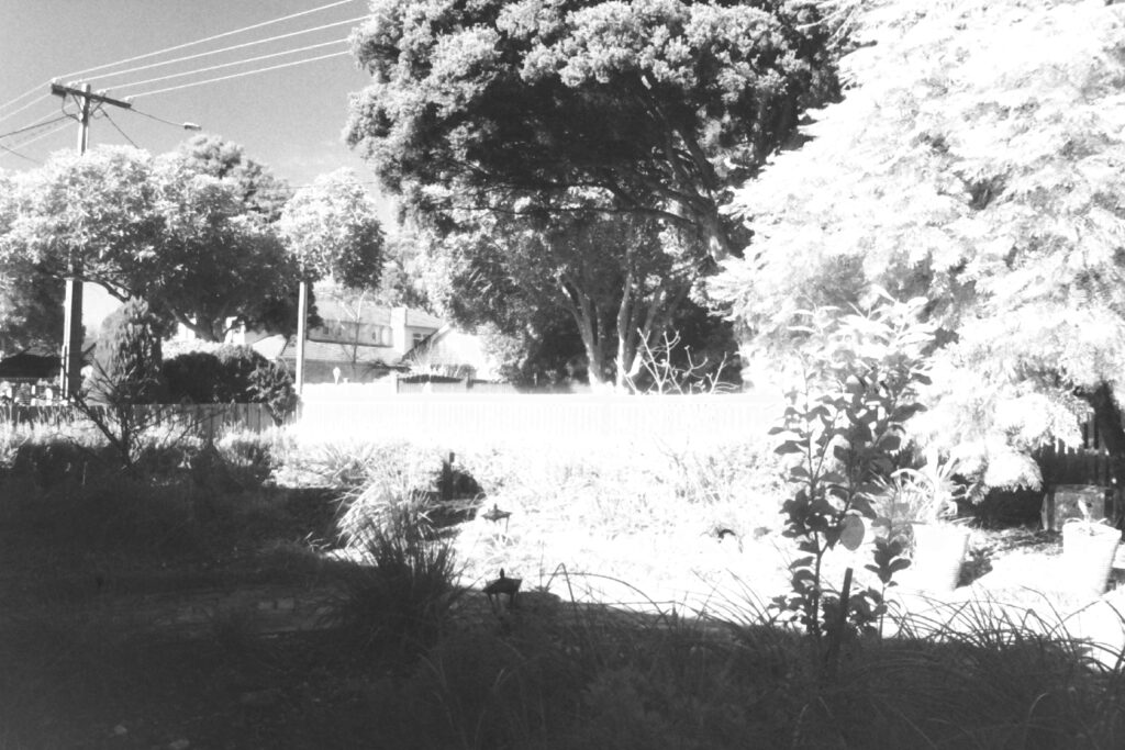 Black and white photo of a front garden.