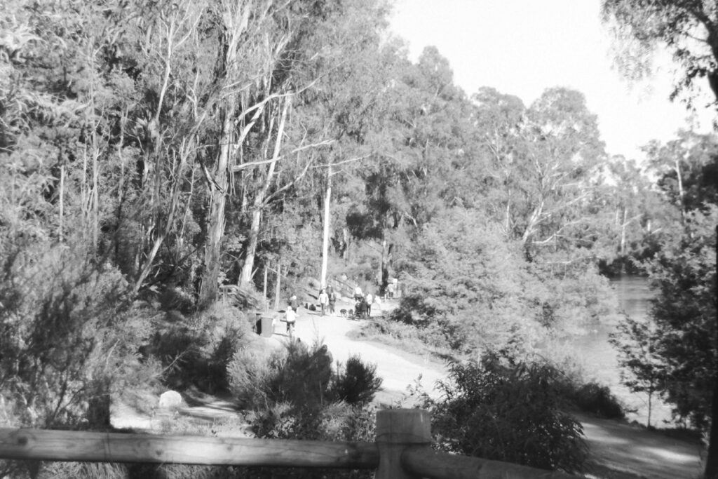 Black and white photograph of a walking path alongside a river in bushland. There are people walking along the path in the distance.