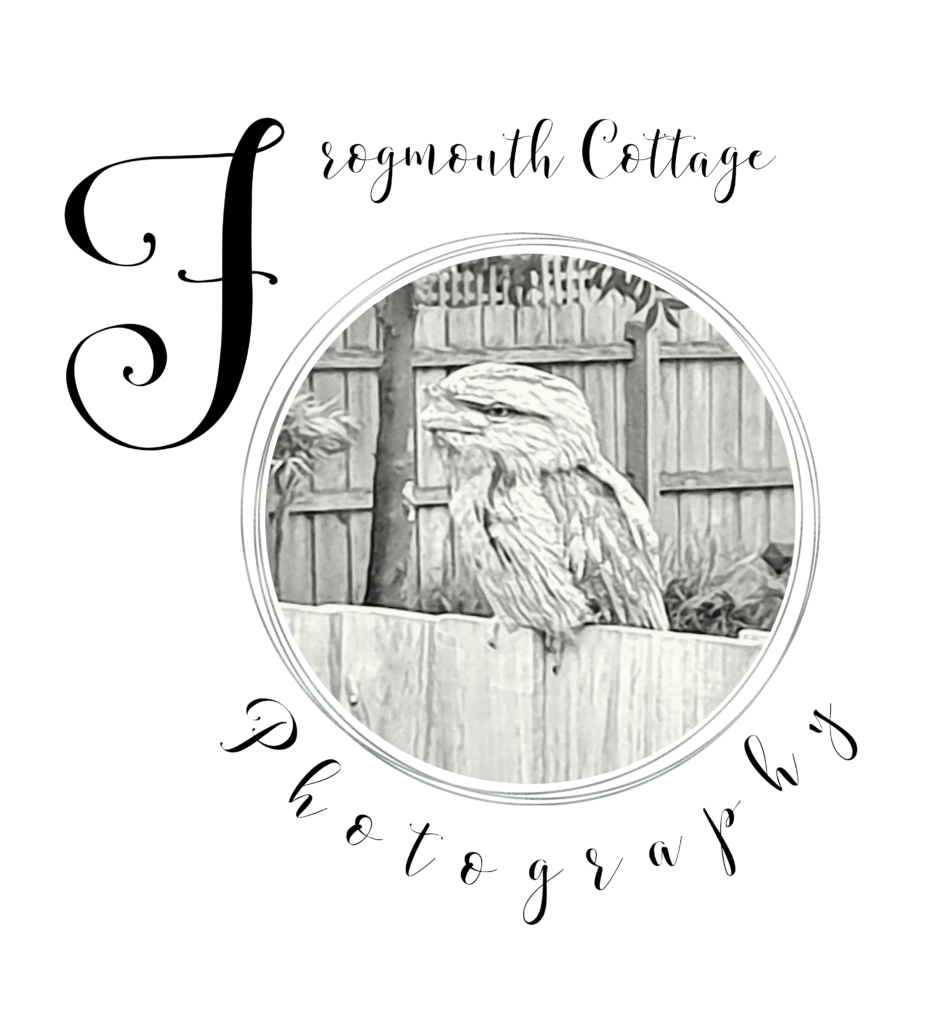 Black and white image of a Tawny Frogmouth sitting on a fence. The image is bordered by a series of circles and the words "Frogmouth Cottage Photography" are around the circle.