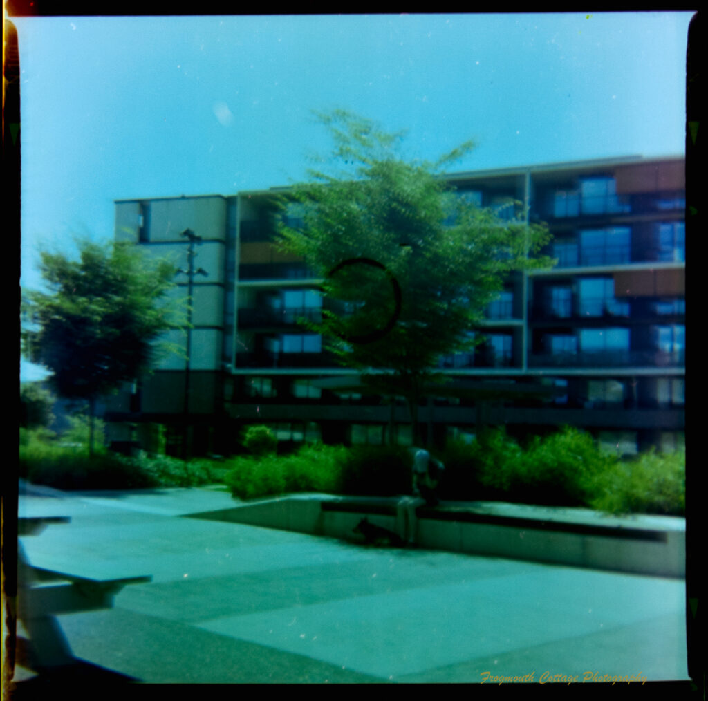 Square photograph with film markings along the left and right side. The photo is of an aprtment block. In the foreground is a concrete path and bench. a woman is sitting on the bench under a tree with a dog at her feet. The edges of the photo are uneven and there is a green circle in the middle of the image that has been imprinted on the negative.