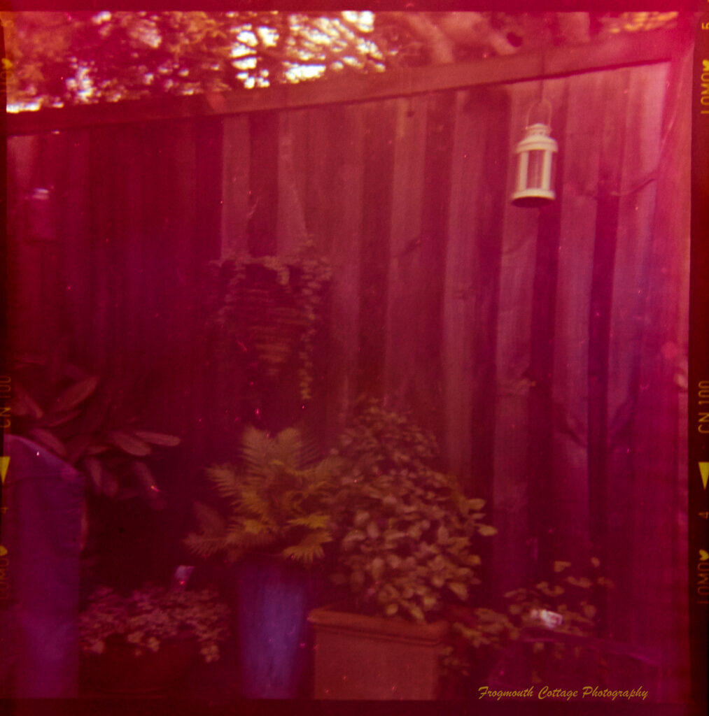 Square photograph with film markings along the left and right side. The photo is of a fence with pots along the bottom edge and another pot and lanterns hanging at the top. It has a reddish cast.