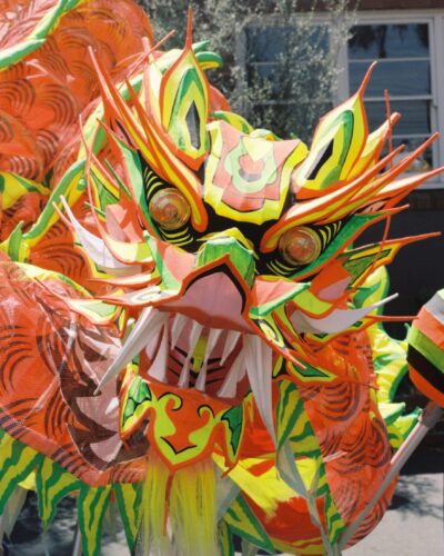 Chinese New Year 2024 Box Hill Photo of a chinese dragon head on sticks. The dragon head is facing the camera with large eyes and it's mouth open with loing sharp teeth.