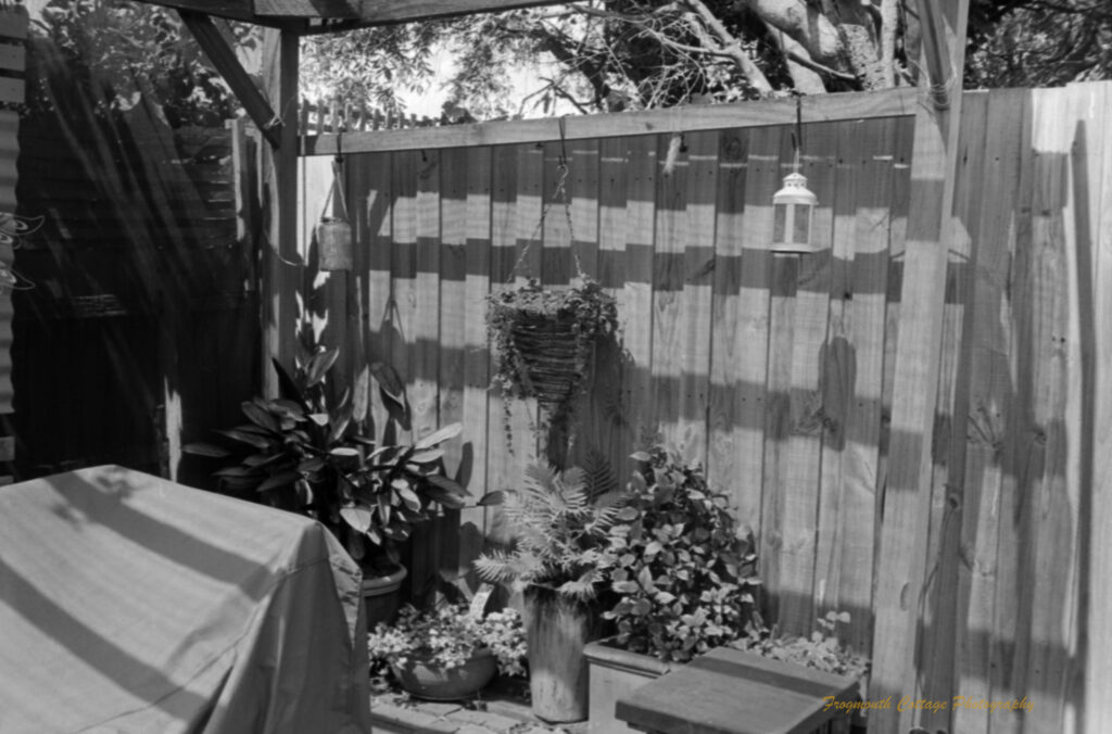 Black and white photo the side of a garden gazebo. There is a wooden beam alongside a fence. Laterns and a cone shaped basket are hanging from the beam. There are potted plants along the fence.