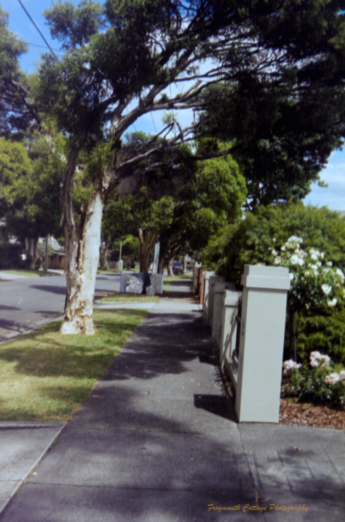 Colour photo of a footpath on a suburban street. There are trees down the left side creating a canpoy over the footpath towards the houses.