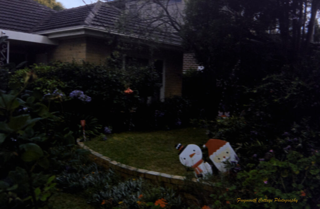 Colour photo of a garden in front of a cream brick house. The garden is surrounded by green leafy shrubs with flowers. A cream brick retaining wall curves along the cente and there are Christmas ornaments hanging in the trees. A santa and snow man are peeking out of the shrubs.