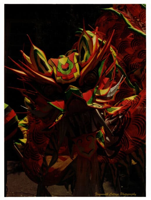 Colour photograph with a white boarder. The subject, which takes up most of the image, a the head of a chinese dragon, with yellow, green and red colouring.