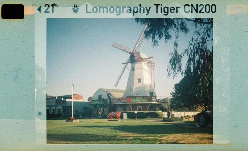 Photograph of a windmill with a sign "Chocolate Apple Factory"on it. Next to the windmill are some othe shop buildings. On the lawn in front is a red and white cow sculpture.