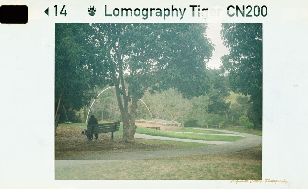 Photograph of a park surrounded by trees with a large curved piece of play equipment in the background. A Person is sitting on a wooden bench facing away from the camera.