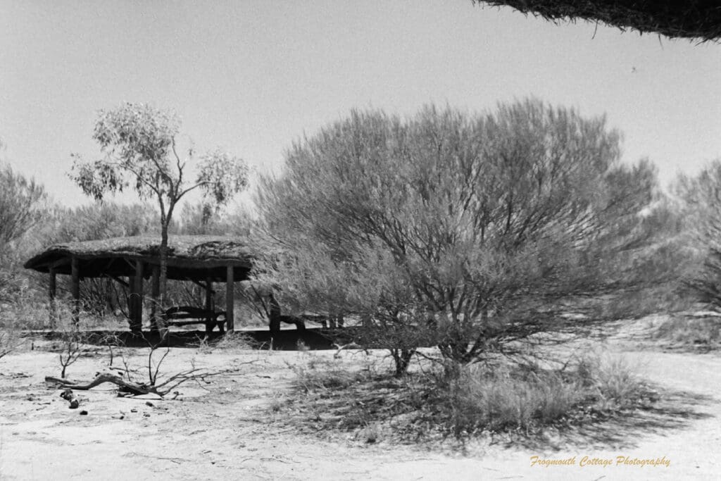 Black and white photo of a sheltered rest area surrounded by trees.