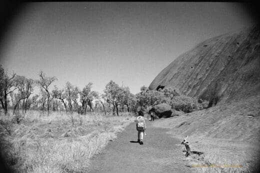 Black and white photo of two people walking along a path with Uluru on the right hand side and scrub and trees on the left.