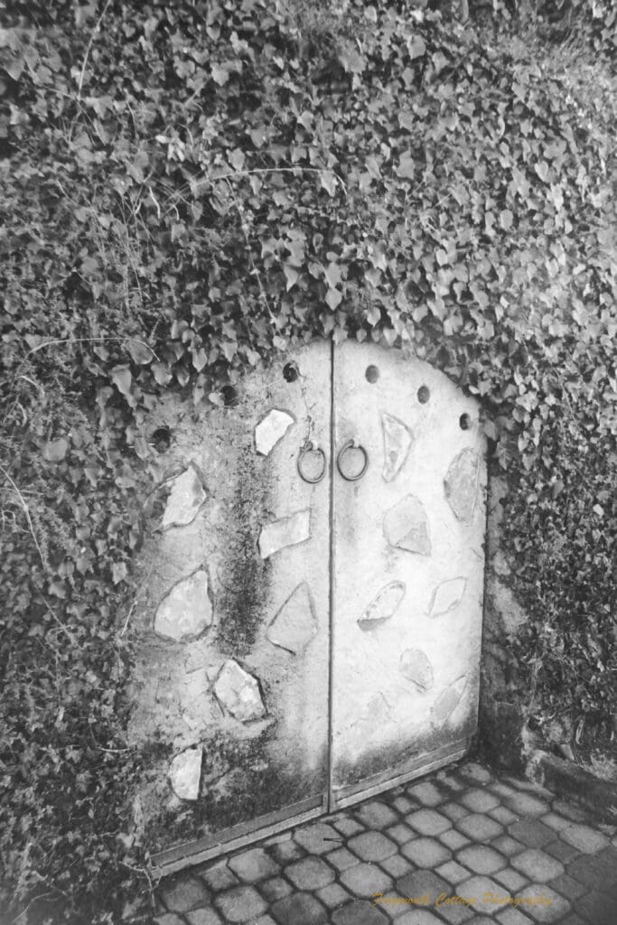 Black and white photograph of a stone gate set into a fence covered in creeper.