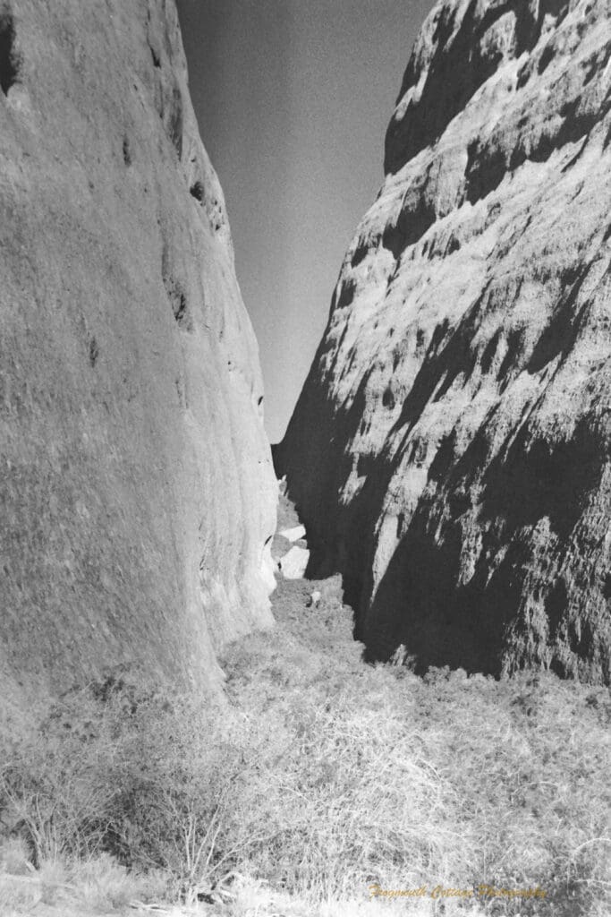 Black and white photograph of two very large rock with bush land extending from the foreground up through the gap in between the rock faces